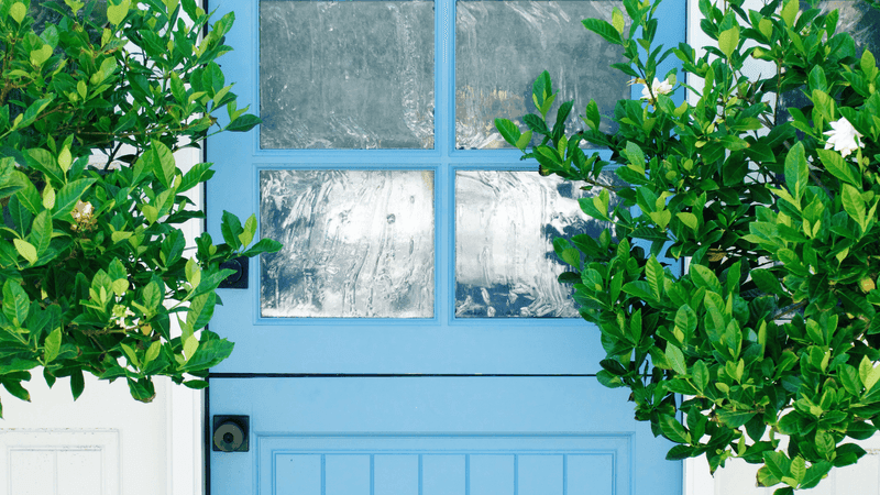 A blue front door framed by greenery